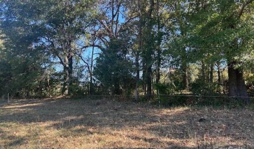 Photo #27 of White Store, Wingate, NC