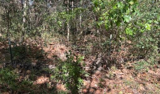 Photo #21 of White Store, Wingate, NC