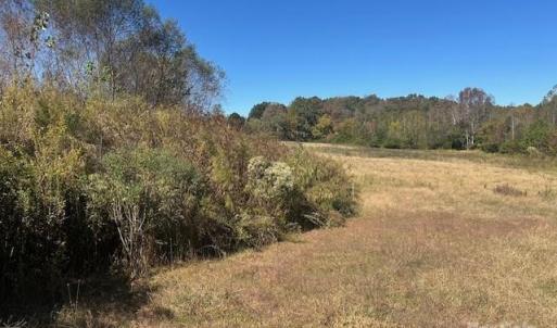 Photo #7 of White Store, Wingate, NC