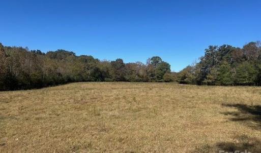 Photo #15 of White Store, Wingate, NC