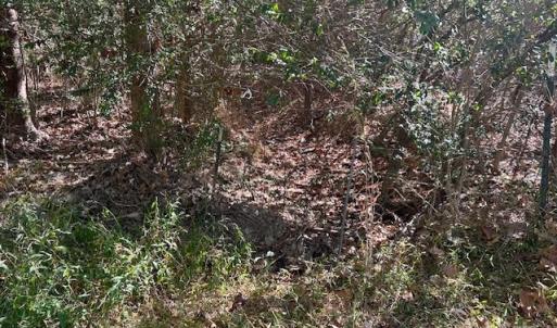 Photo #18 of White Store, Wingate, NC