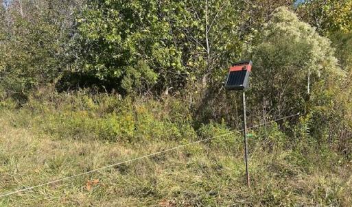 Photo #31 of White Store, Wingate, NC