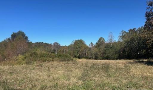 Photo #9 of White Store, Wingate, NC