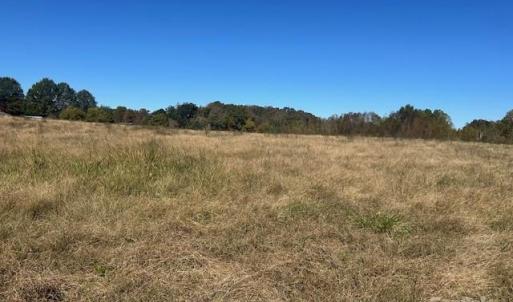 Photo #5 of White Store, Wingate, NC