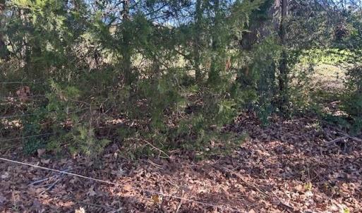 Photo #22 of White Store, Wingate, NC