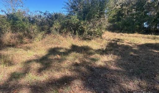 Photo #28 of White Store, Wingate, NC