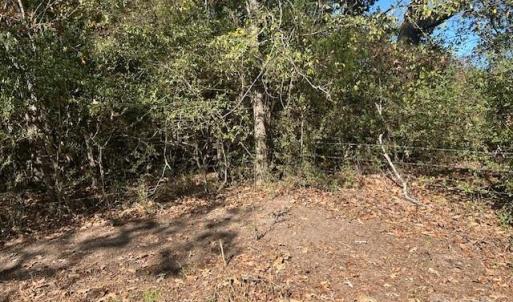 Photo #19 of White Store, Wingate, NC