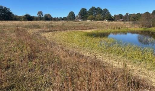 Photo #4 of White Store, Wingate, NC