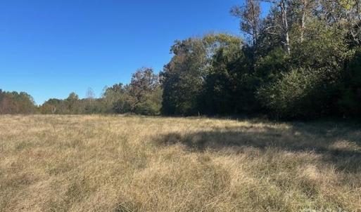 Photo #10 of White Store, Wingate, NC