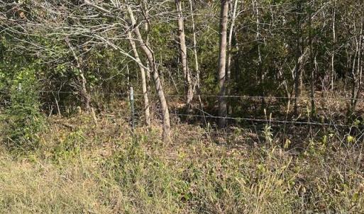 Photo #37 of White Store, Wingate, NC