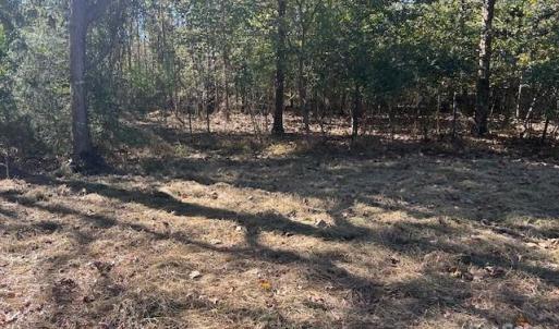 Photo #32 of White Store, Wingate, NC