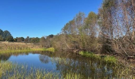 Photo #6 of White Store, Wingate, NC