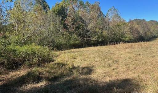 Photo #19 of White Store, Wingate, NC