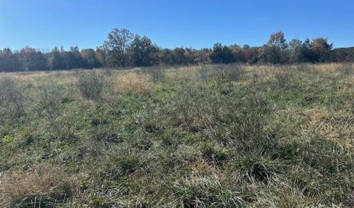 Photo #14 of White Store, Wingate, NC