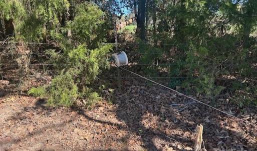 Photo #29 of White Store, Wingate, NC