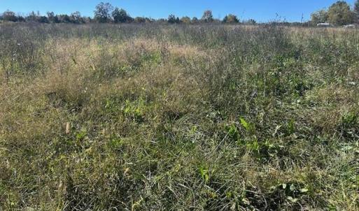 Photo #9 of White Store, Wingate, NC