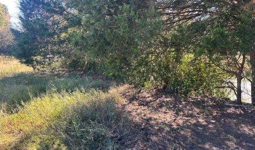 Photo #38 of White Store, Wingate, NC