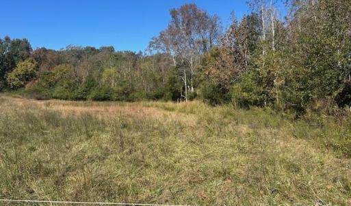 Photo #35 of White Store, Wingate, NC