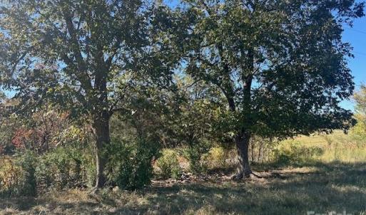 Photo #4 of White Store, Wingate, NC