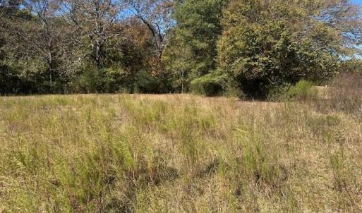 Photo #17 of White Store, Wingate, NC