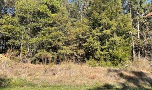 Photo #6 of Deep Springs, Peachland, NC