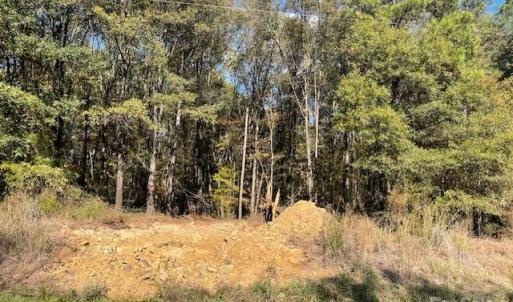 Photo #7 of Deep Springs, Peachland, NC