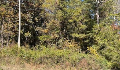 Photo #4 of Deep Springs, Peachland, NC