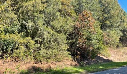 Photo #1 of Deep Springs, Peachland, NC