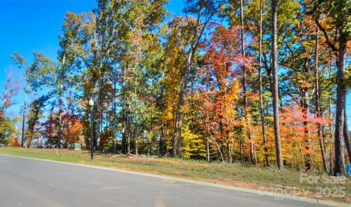 Photo #3 of Lot 98 Edgewater, Norwood, NC