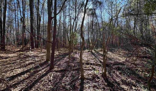 Photo #1 of TBD Theron, Lancaster, SC