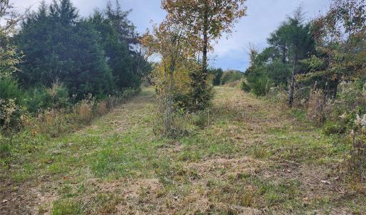 Photo #8 of 11706 NC Hwy 73, Mount Pleasant, NC