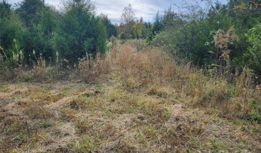 Photo #4 of 11706 NC Hwy 73, Mount Pleasant, NC