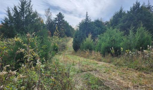 Photo #9 of 11706 NC Hwy 73, Mount Pleasant, NC