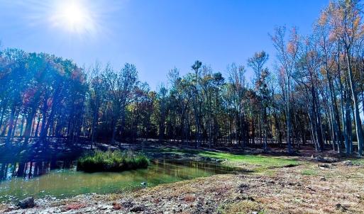 Photo #3 of Waxhaw, Mineral Springs, NC