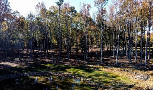 Photo #1 of Waxhaw, Mineral Springs, NC