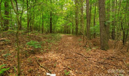 Photo #21 of Lucy Short Cut, Marshville, NC