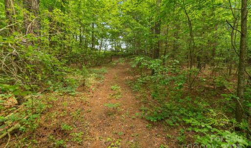 Photo #19 of Lucy Short Cut, Marshville, NC