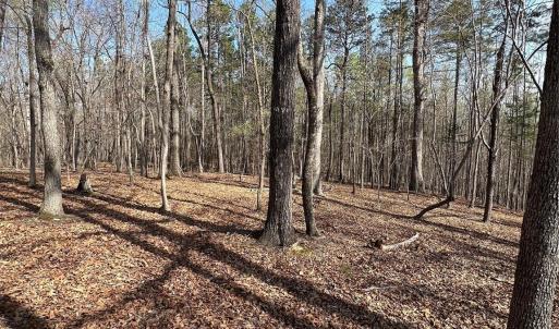 Photo #3 of Snuggs Park, Albemarle, NC