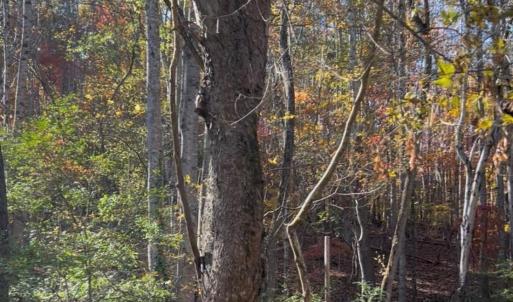 Photo #2 of Snuggs Park, Albemarle, NC