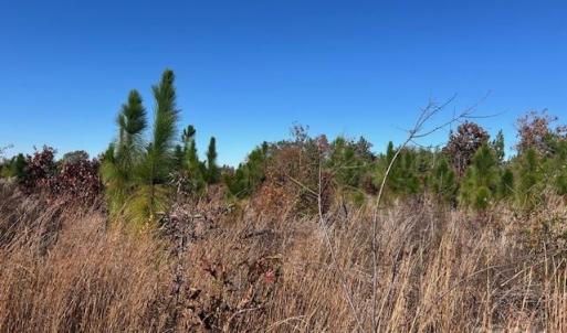 Photo #7 of 3583 Mill Creek, Kershaw, SC