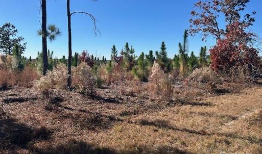 Photo #3 of 3583 Mill Creek, Kershaw, SC