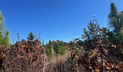 Photo #5 of 3583 Mill Creek, Kershaw, SC