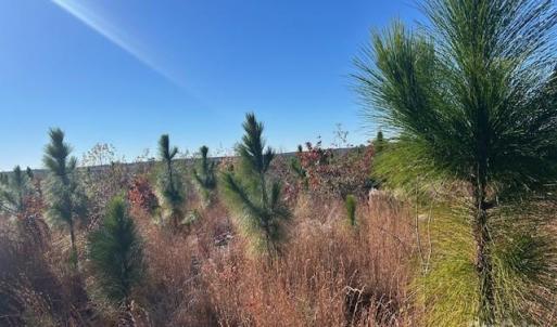 Photo #6 of 3583 Mill Creek, Kershaw, SC