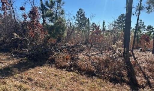 Photo #2 of 3583 Mill Creek, Kershaw, SC