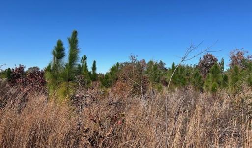 Photo #6 of 3583 Mill Creek, Kershaw, SC