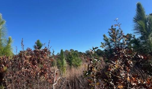 Photo #4 of 3583 Mill Creek, Kershaw, SC