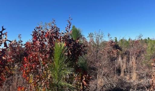 Photo #13 of 3583 Mill Creek, Kershaw, SC