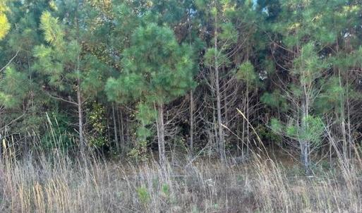 Photo #1 of Edwards, Fort Lawn, SC