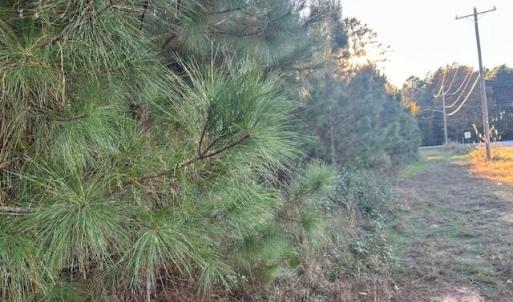 Photo #3 of Edwards, Fort Lawn, SC