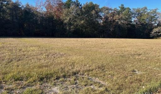 Photo #7 of Baxley Farm, Kershaw, SC